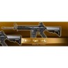 G&G GR15 RAIDER L   BLOW BACK COMBO mosfet