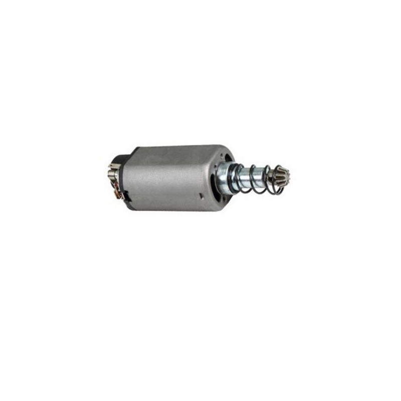 TSeG TORQUE MOTOR LARGO