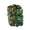 Mochila asalto GRANDE 45L WOODLAND