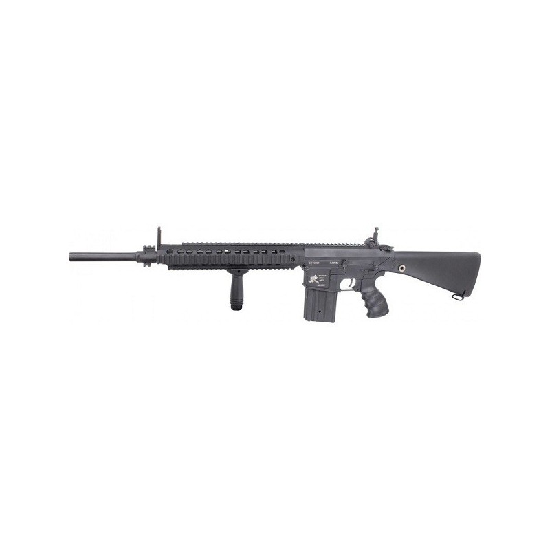 SR25 Golden Eagle