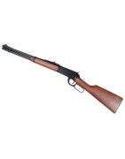 RIFLE PALANCA
