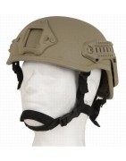 CASCO MICH